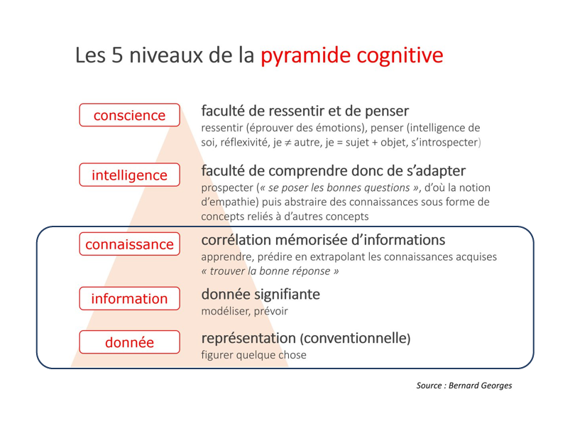 Pyramide cognitive de Bernard Georges